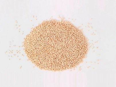 Quinoa Blanca x 500 gr