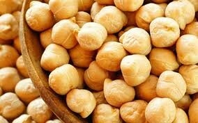 Garbanzo de exportacion 9mm