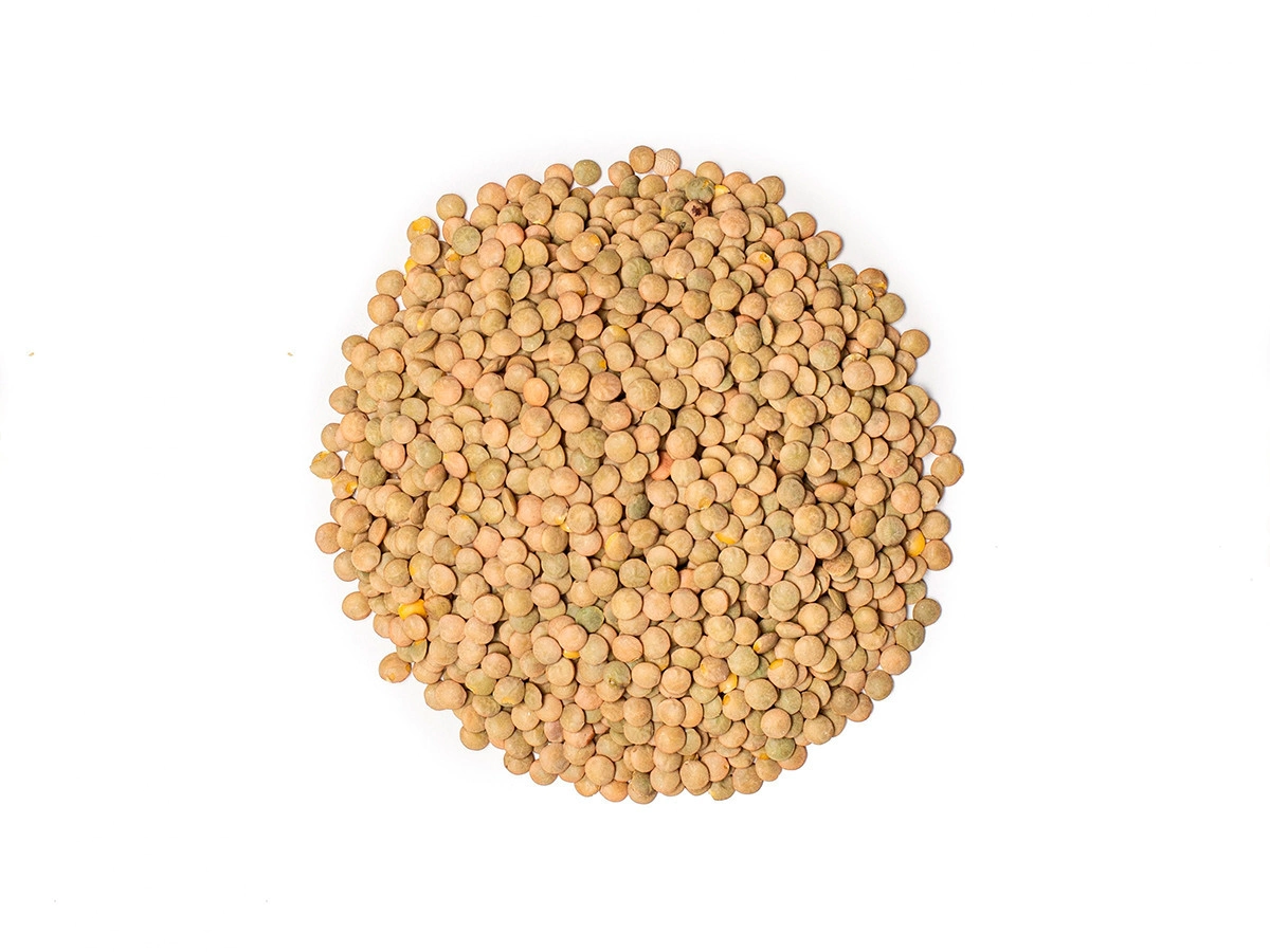 Lenteja x 25 kg 
