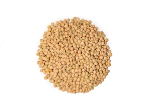 Lenteja x 25 kg 