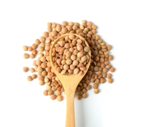 Almendra Nom Pareil x 10 kg