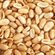 Almendra Nom Pareil x 10 kg