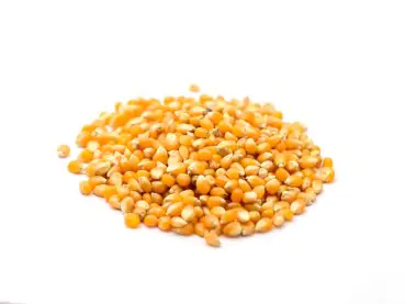 Maiz Frito con Mostaza y Miel  x 1 kg