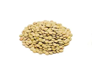 Lentejon Canadiese bolsa x 25kg